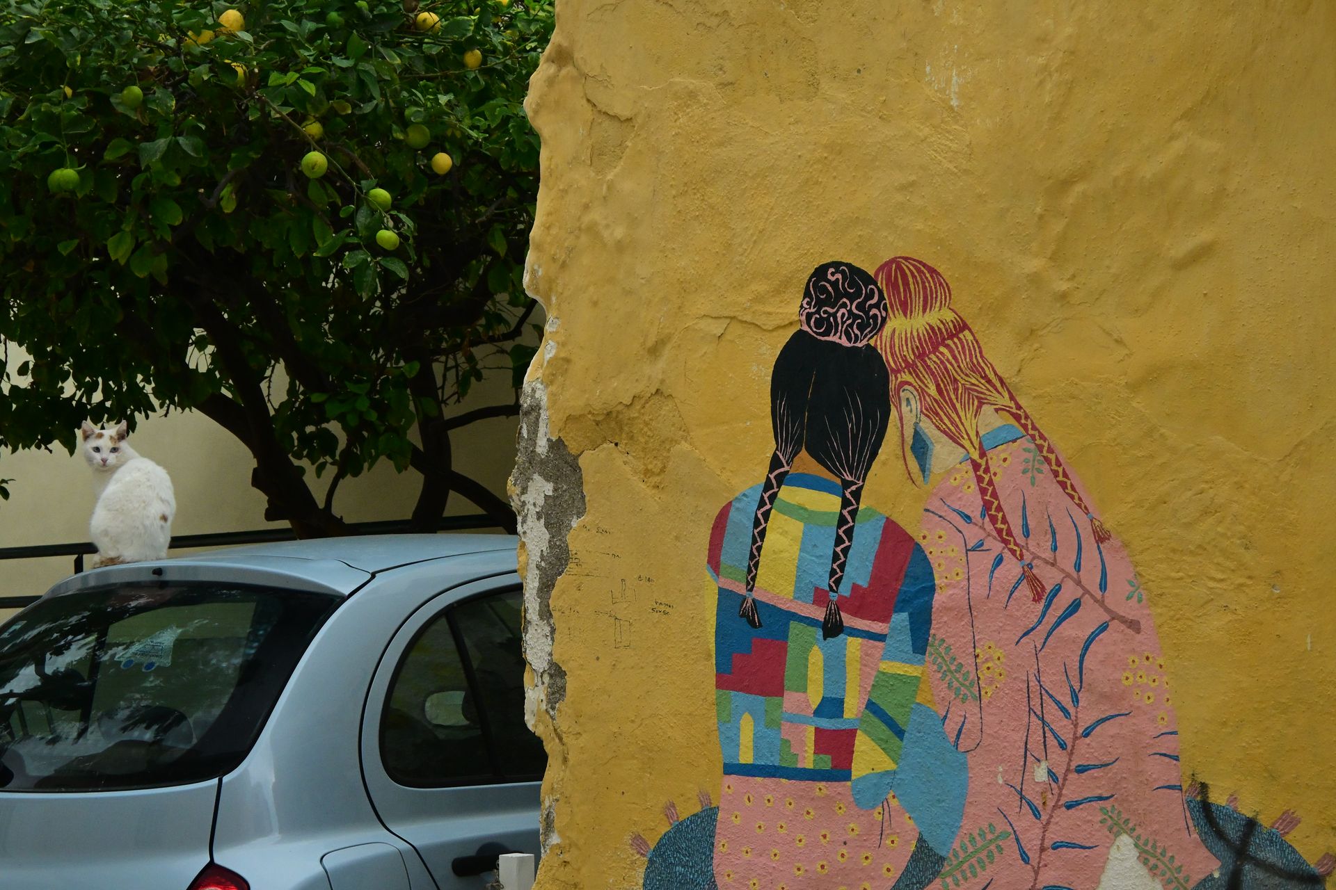 Colourful mural of two birds on a yellow wall beside an orange tree and a parked car